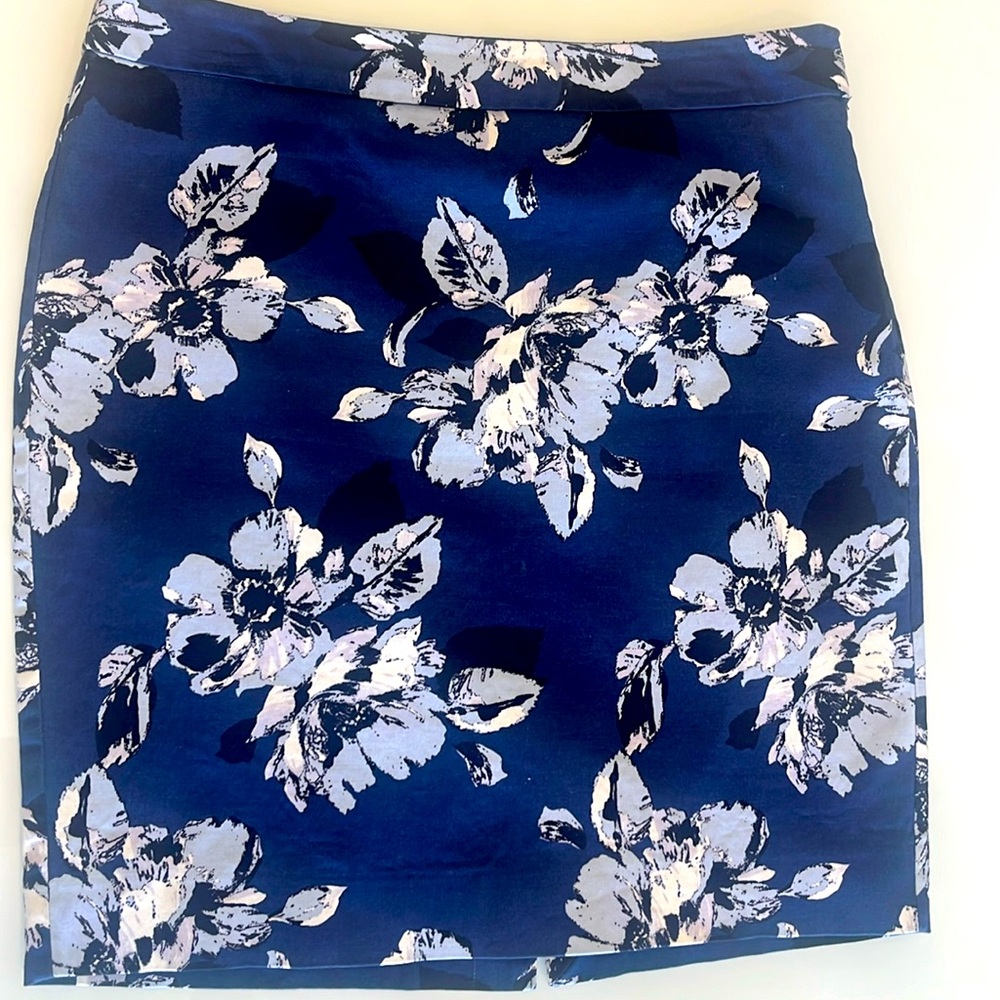 The Limited knee length Size 8 Skirt.